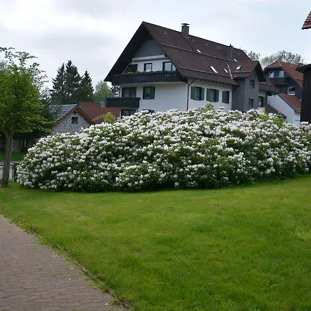 Hotel-pension Elisabeth-ilse Braunlage