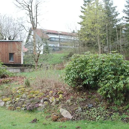 Hotel-pension Elisabeth-ilse 3* Braunlage