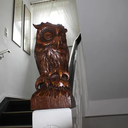 Pensión Hotel-pension Elisabeth-ilse